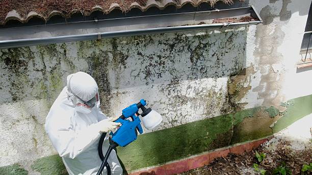 Top rated local Mold Remediation specialists in Fishertown, PA
